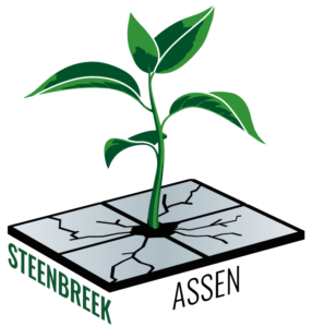 Logo Steenbreek Assen. Illustratie van een gebroken tegel met een plant die eruit groeit