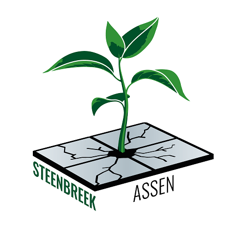 Logo Steenbreek Assen