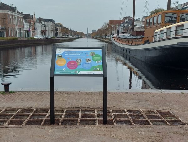 Eendenkroostuintje bij de Vaart in Assen