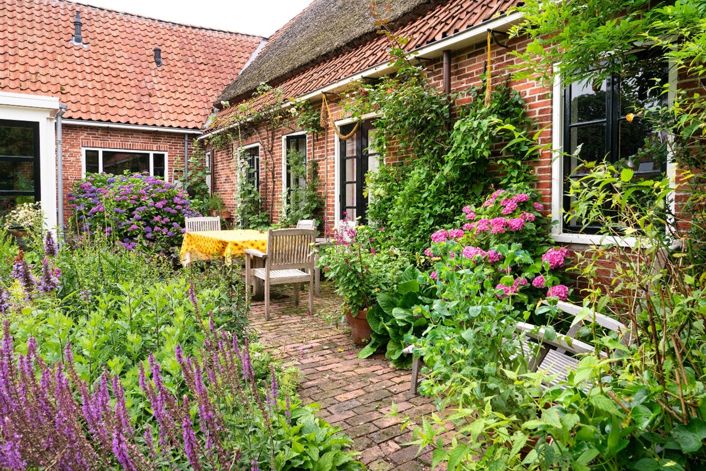 Groene tuin met terras, bloeiende planten, bloemen en een geveltuin