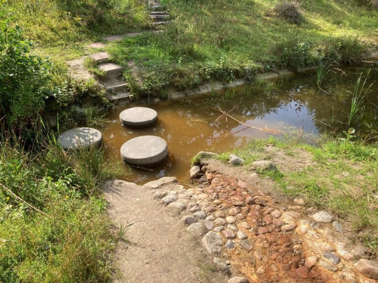 Regenwatervijver met stapstenen blote voeten tuinpad