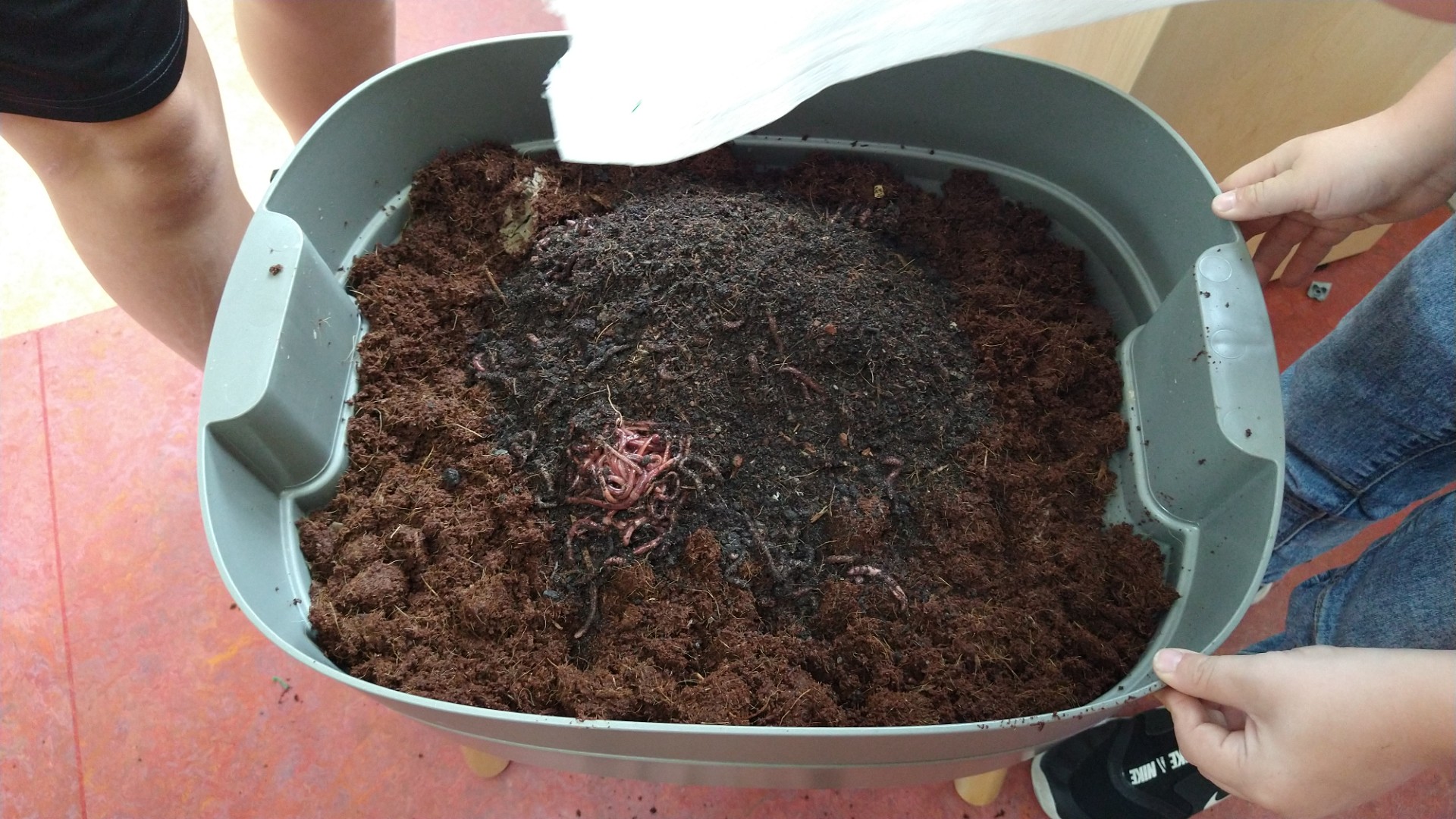 Zelf compost maken met een wormenhotel