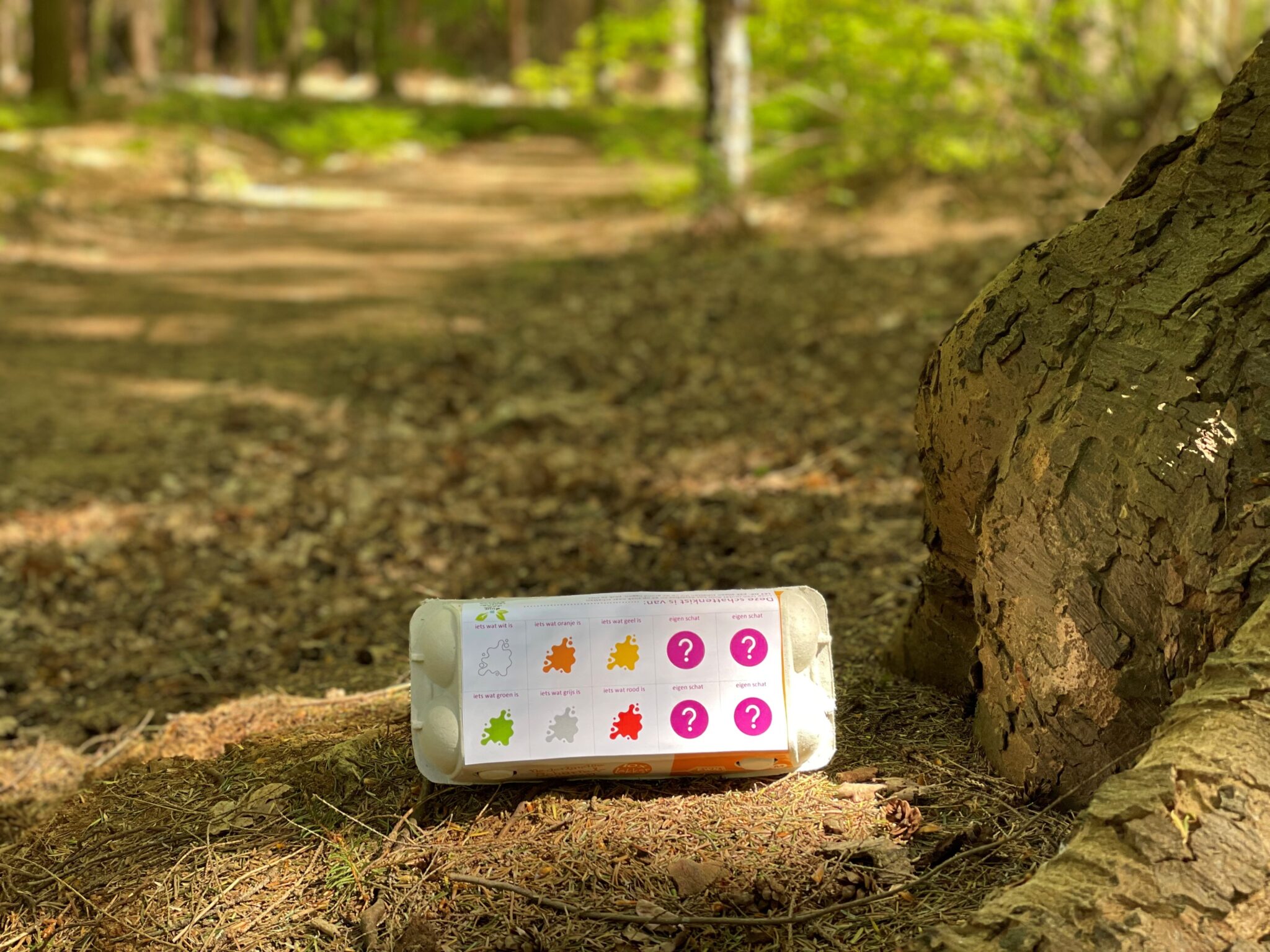 Schatzoeken in het Asserbos