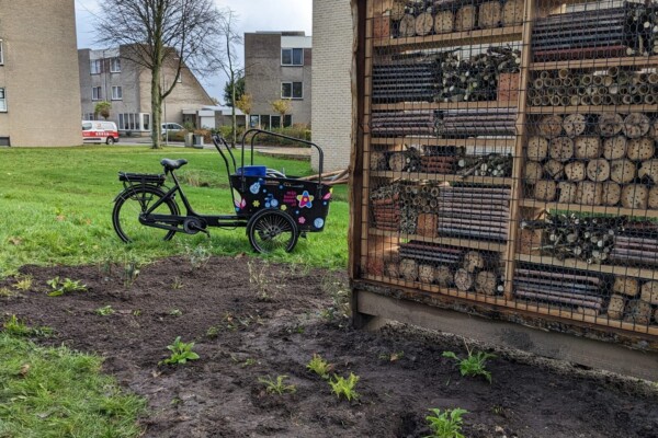 Bakfiets Mijn Buurt Assen bij insectenhotel van een groen bewonersinitiatief tijdens Boomfeestdag