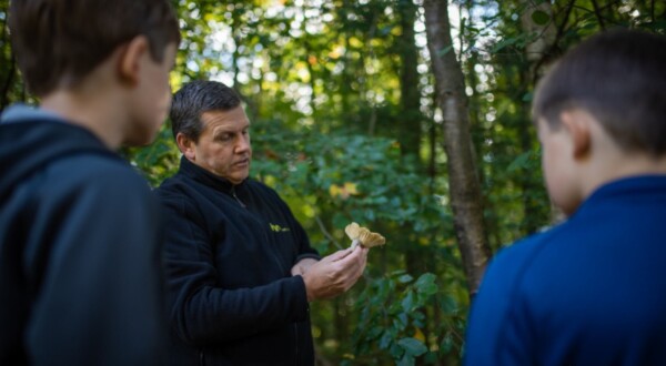 Paddenstoelenexcursie in het Asserbos van IVN-KNNV Assen