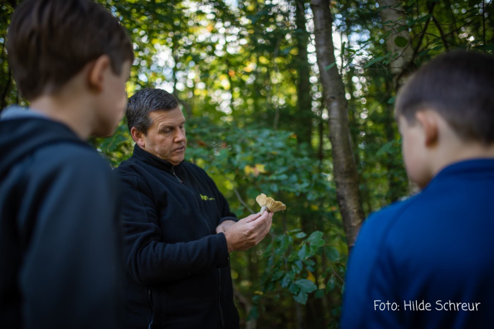 Paddenstoelenexcursie in het Asserbos van IVN-KNNV Assen