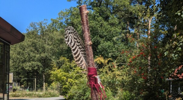 Knutsel je eigen wandelstok