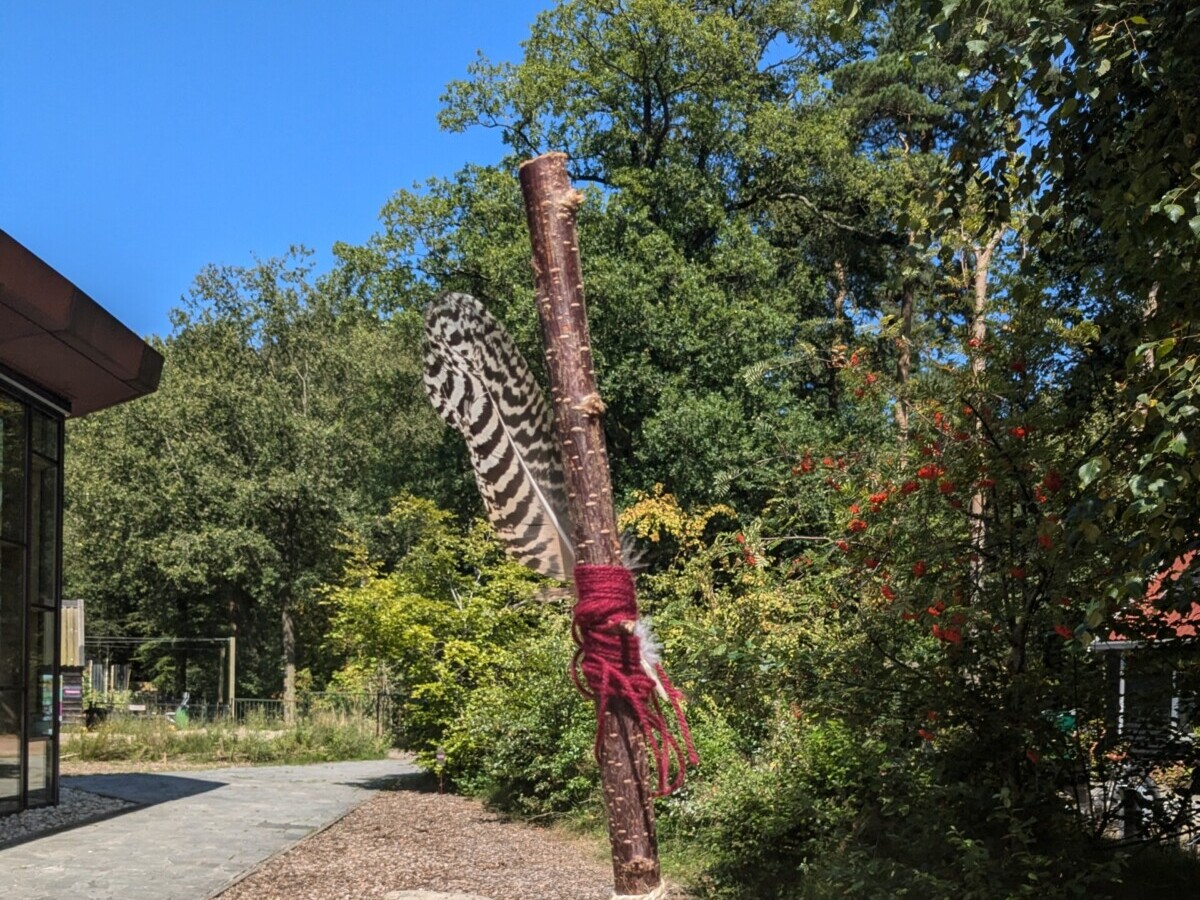 Knutsel je eigen wandelstok