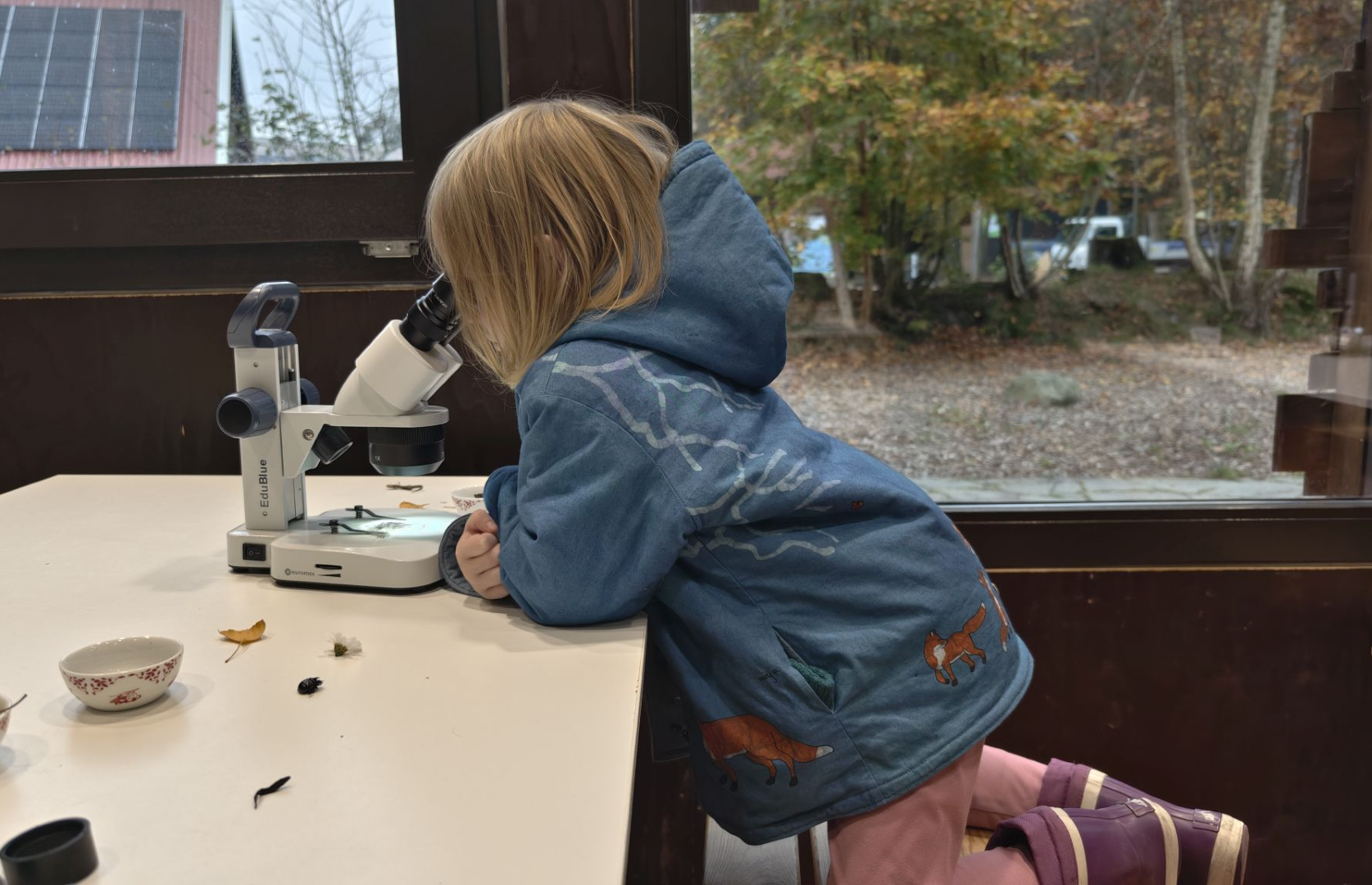 Meisje kijkt in een microscoop.