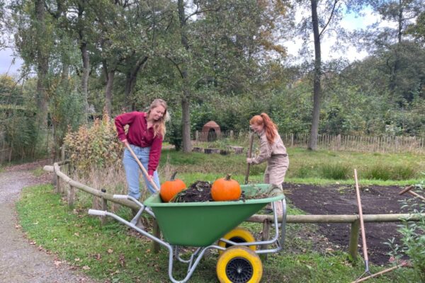 Vrouwen werken in de tuin tijdens de herfst met een kruiwagen met pompoenen