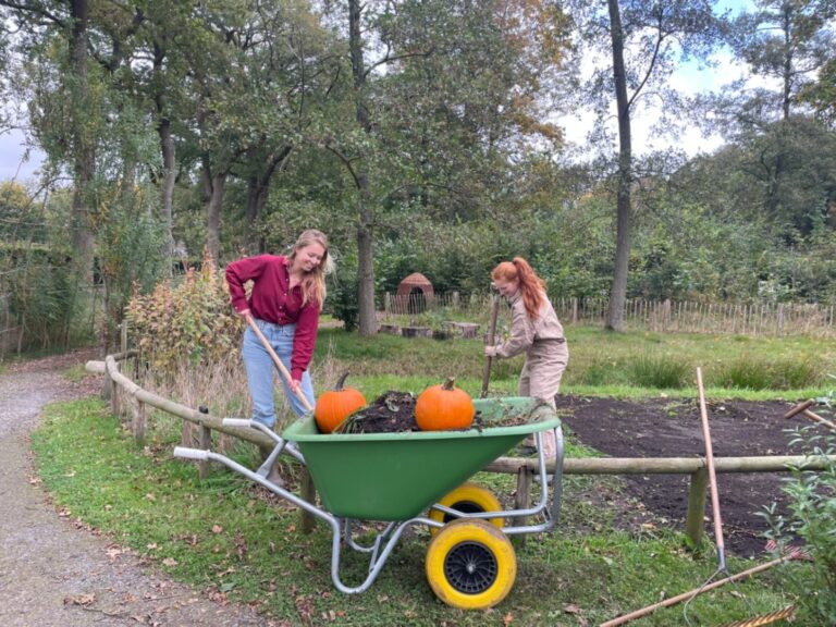 Lees meer over De herfst is het beste plantseizoen