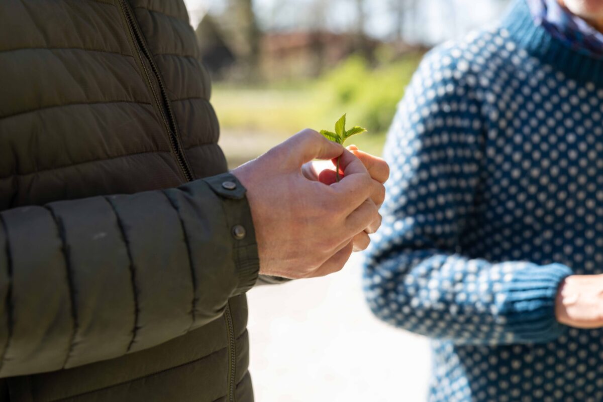 Man met een een plantje in zijn hand.