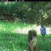 Eekhoorn bij wildcamera