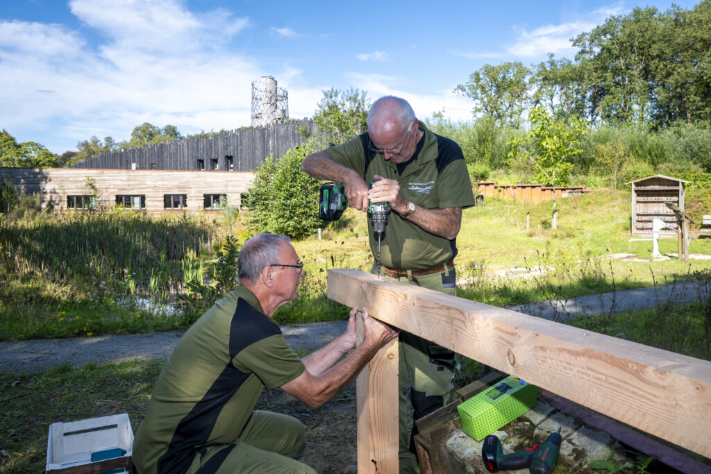 Twee klusvrijwilliger die bezig zijn met boren van houten palen in de tuin. 