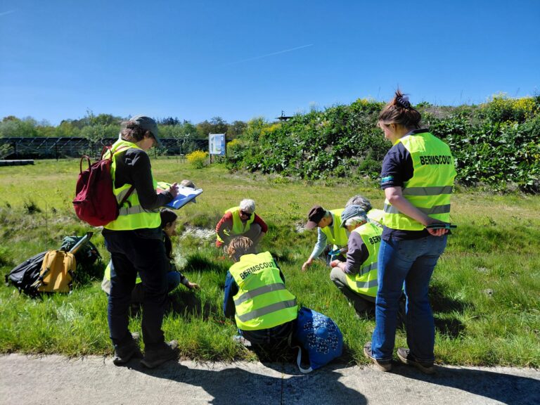 Bermscouts die planten aan het onderzoeken zijn in de berm. Dit doen ze met de nectarindex.