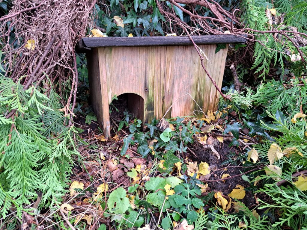 Egelhuis in een tuin