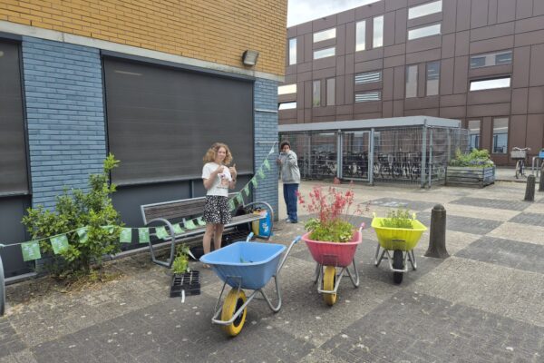 Tegel eruit, plant erin actie bij Terra VO