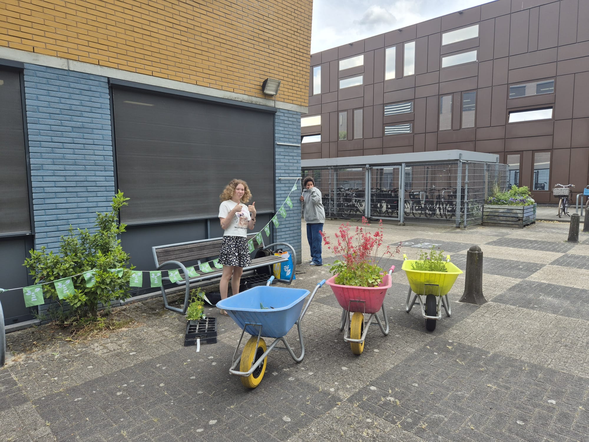 Tegel eruit, plant erin actie bij Terra VO