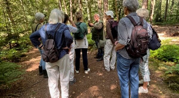 Zondagochtendwandeling IVN-KNNV
