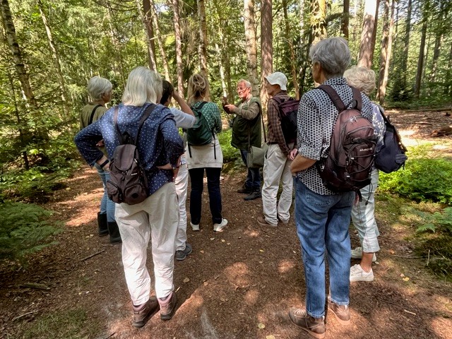 Zondagochtendwandeling IVN-KNNV