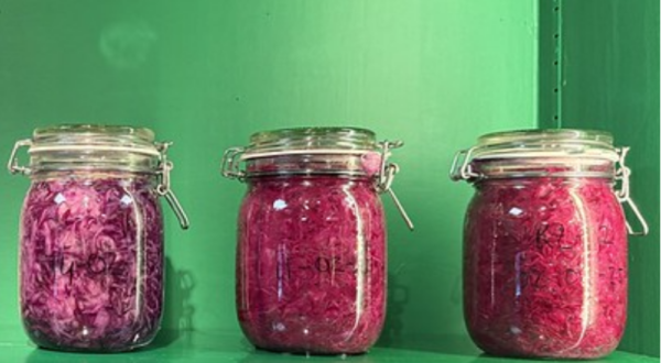 Roze zuurkool in weckpotten