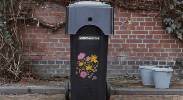 Wormenkliko pimpen